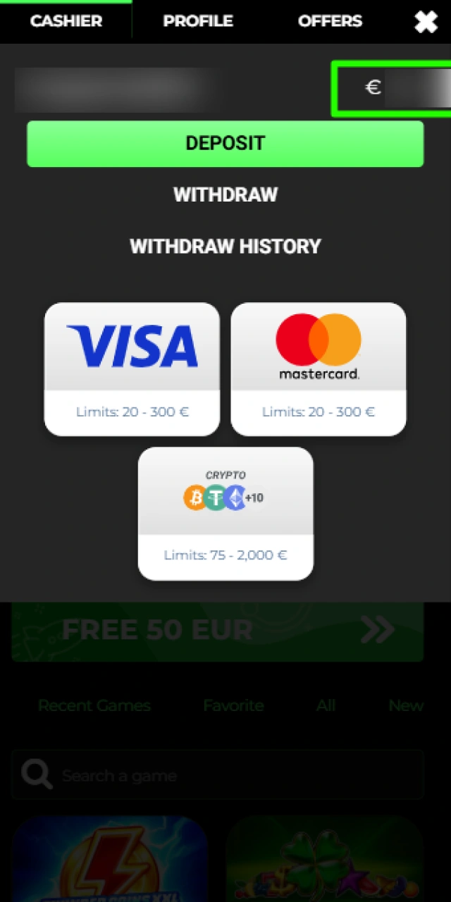 Verifying your updated account balance after completing a deposit on Raptorwins.