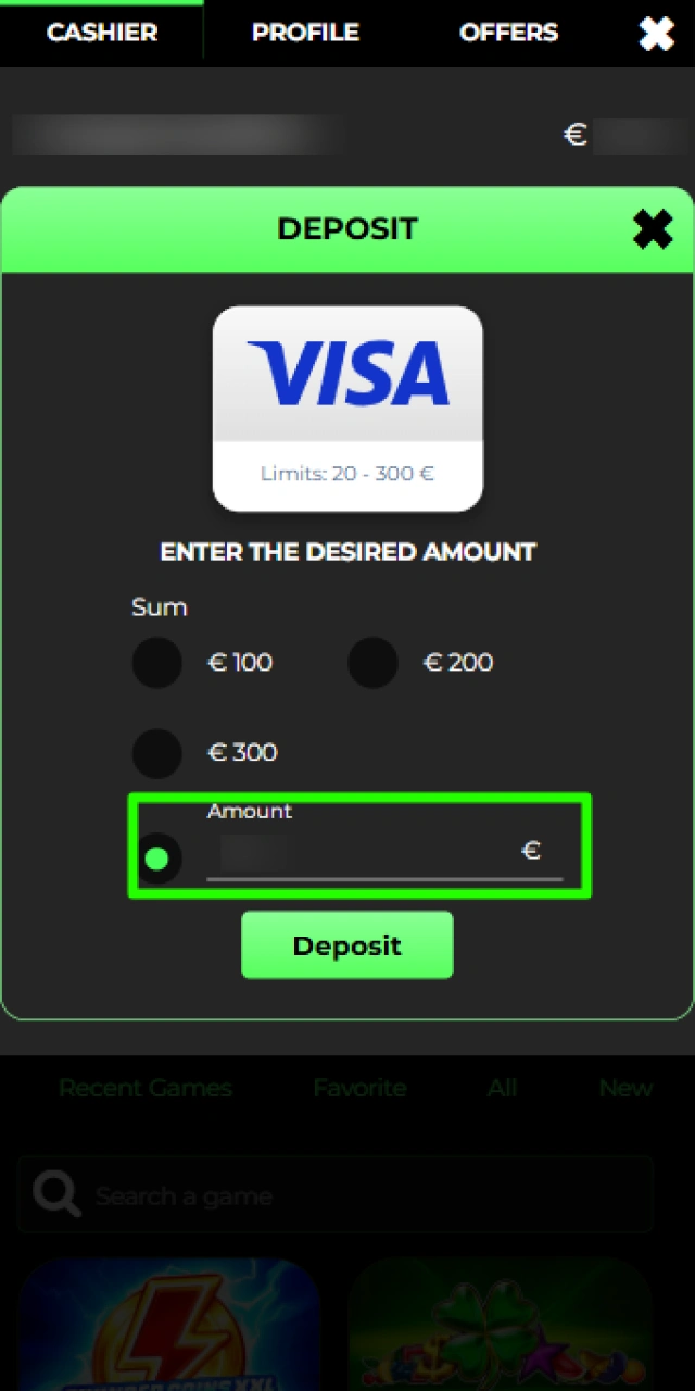 Entering the desired payment amount in the Raptorwins cashier.