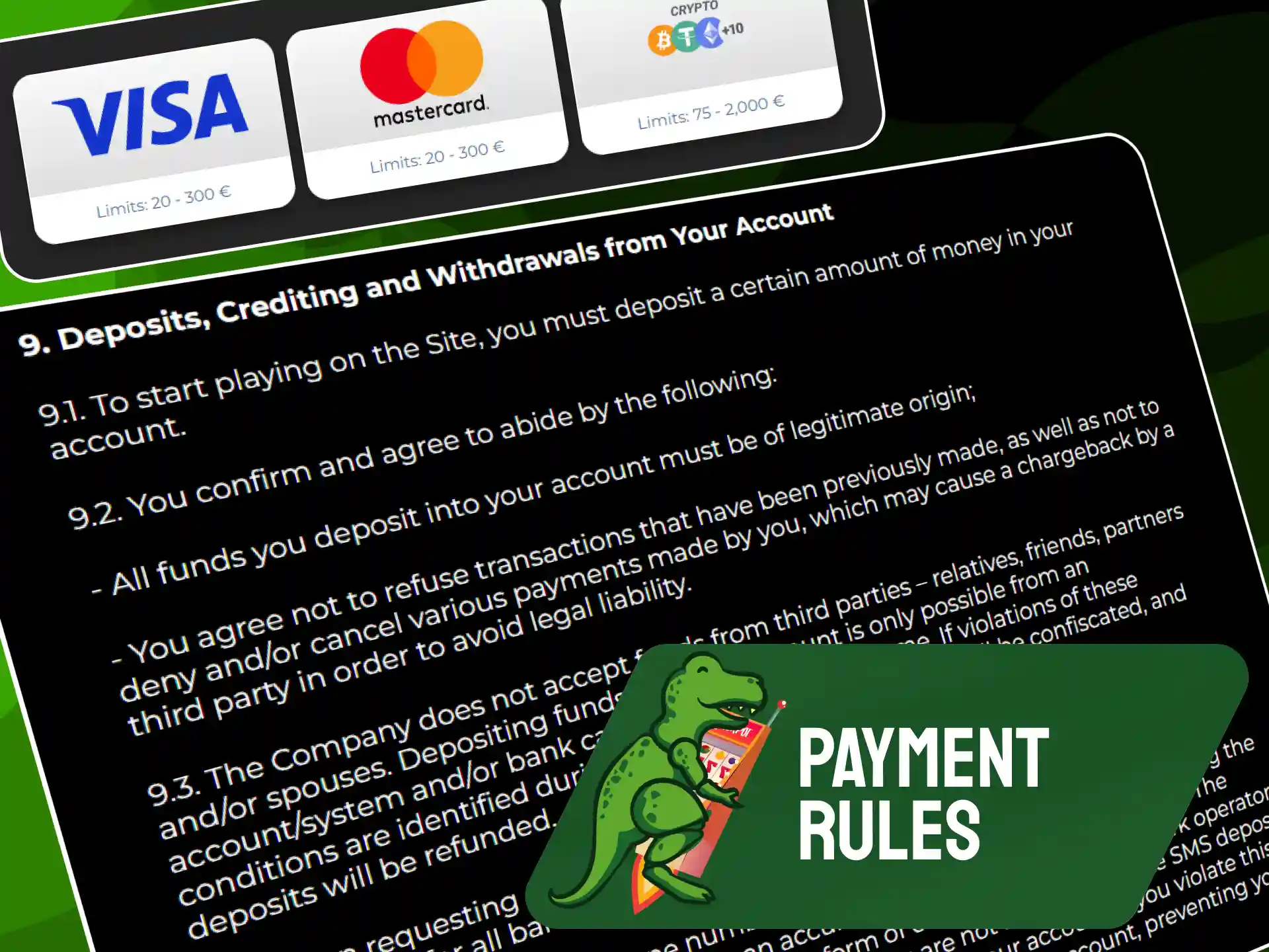 Essential payment terms, limits, and withdrawal rules on Raptorwins UK.