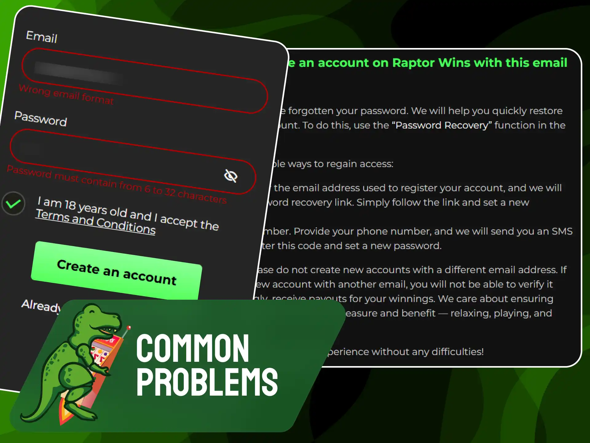 Troubleshooting guide for common issues and errors encountered during Raptorwins account sign-up.