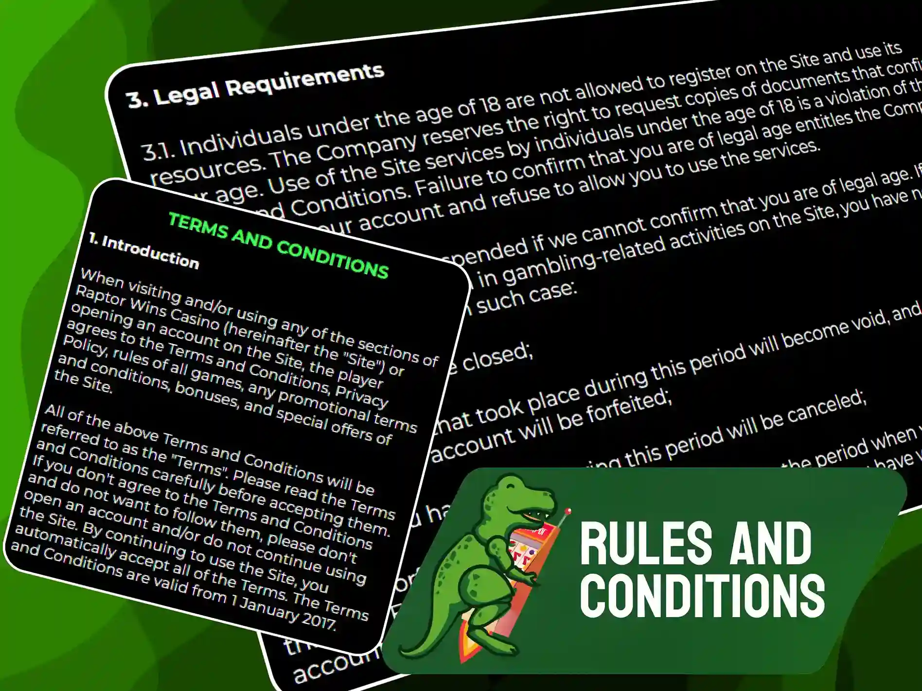Raptorwins user agreement, general terms, and conditions.